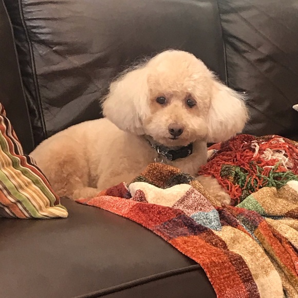 Good Karma! - Picture 10 of 12